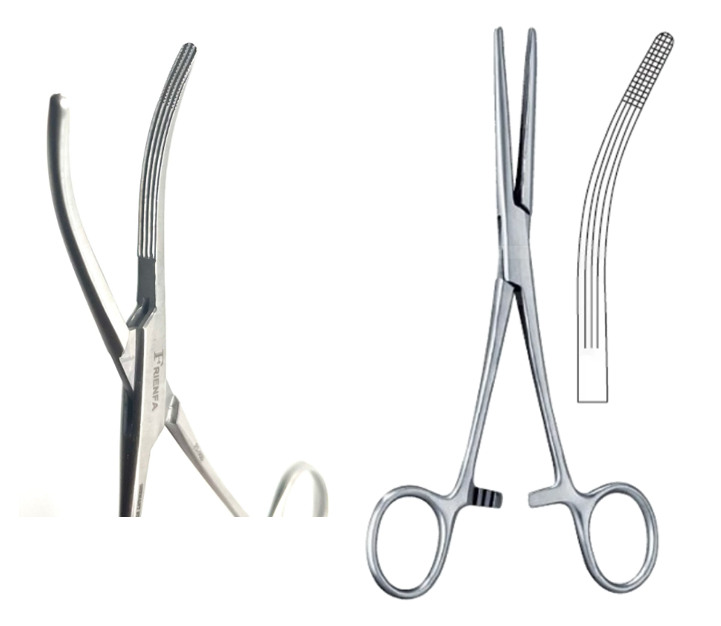 Rochester-Carmalt Artery Forceps