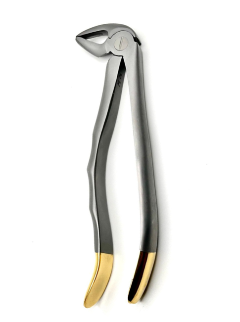 33 Lower Roots Serrated Extraction Forceps, Made in German Stainless Steel/Pince d'Extraction Pour Racines Inférieures #33 Dentelée, Fabriquée en Acier Inoxydable Allemand.