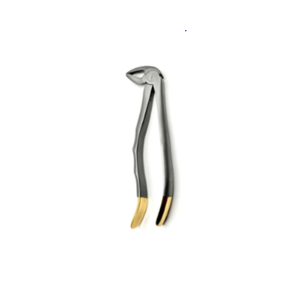 33 Lower Roots Serrated Extraction Forceps, Made in German Stainless Steel/Pince d'Extraction Pour Racines Inférieures #33 Dentelée, Fabriquée en Acier Inoxydable Allemand.
