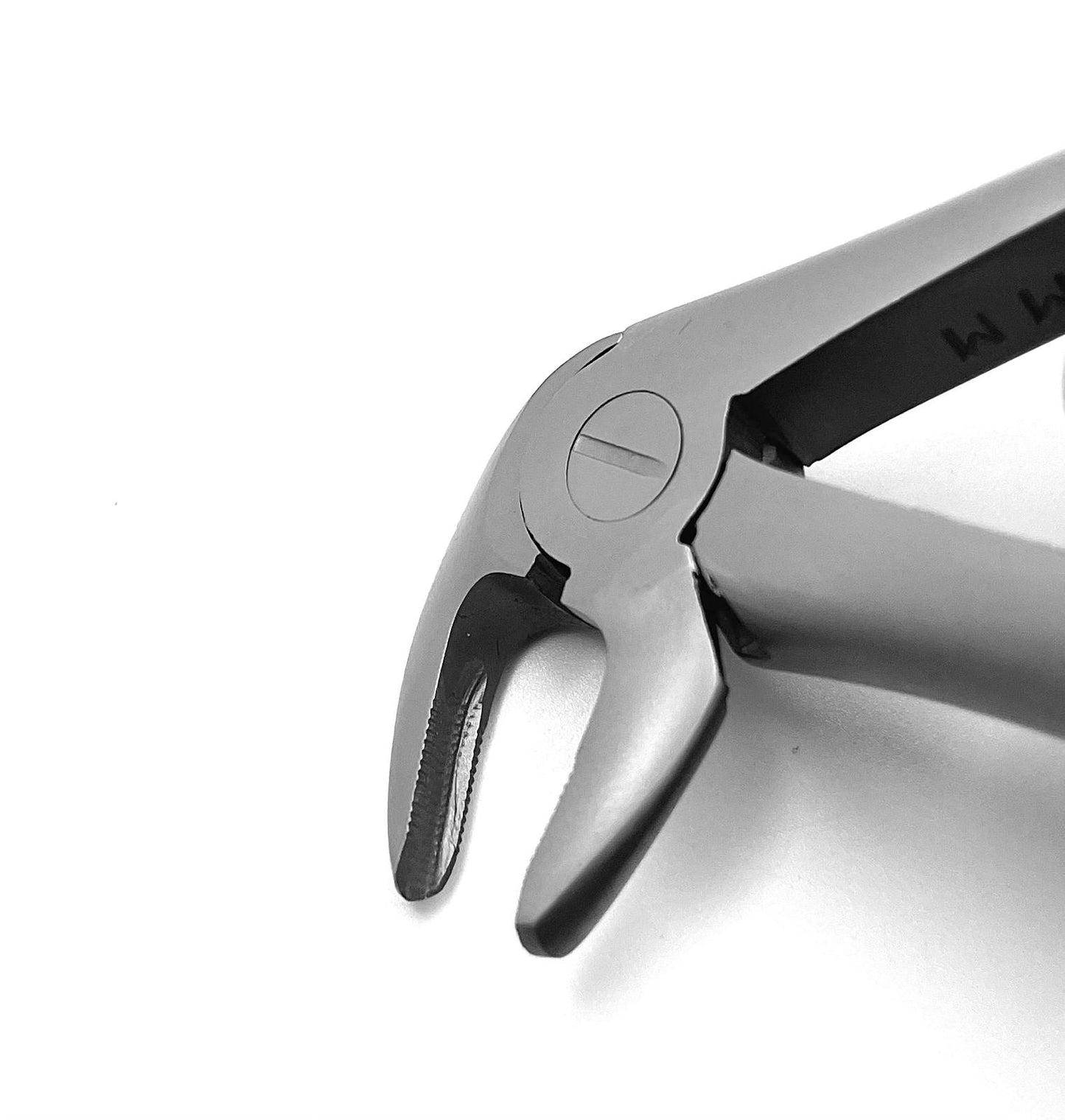 33 Lower Roots Serrated Extraction Forceps, Made in German Stainless Steel/Pince d'Extraction Pour Racines Inférieures #33 Dentelée, Fabriquée en Acier Inoxydable Allemand.