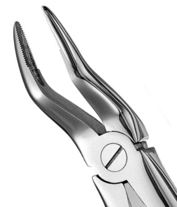 Extraction Forceps # 51 Serrated, Made in German Stainless Steel