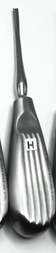 Coupland Root Elevator #2 (2mm),#3 (3 mm), #4 (4 mm), Straight, Made in German Stainless Steel, Rust-Free, Steriliable, Thumb Rest Fine Grip Handle.