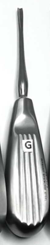 Coupland Root Elevator #2 (2mm),#3 (3 mm), #4 (4 mm), Straight, Made in German Stainless Steel, Rust-Free, Steriliable, Thumb Rest Fine Grip Handle.
