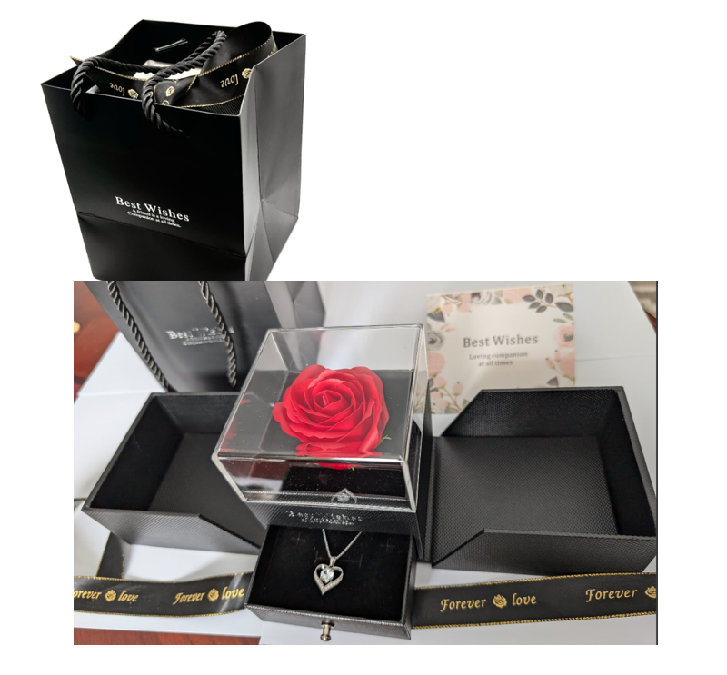 Elegant Heart Sterling Silver Pendant Necklace with Sparkling Cubic Zirconia – Romantic Gift for Women, Friends and Family