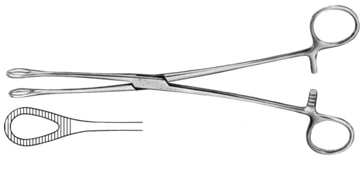 Foerster Sponge Holding Forceps-FI-06-2624-20